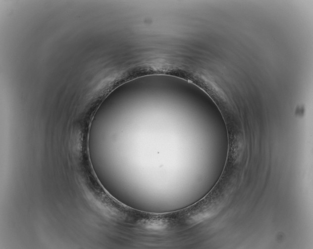 X0000092020639200709131557