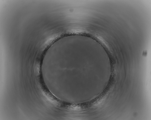 X0000092020640200709131557