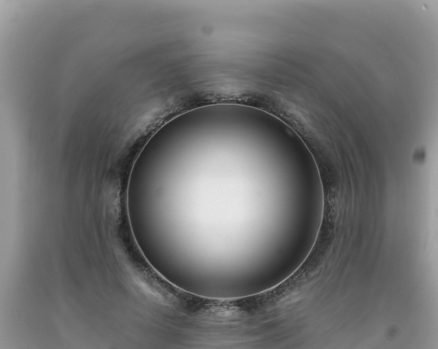 X0000092020642200709131557