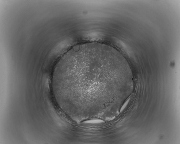 X0000092020643200709131557
