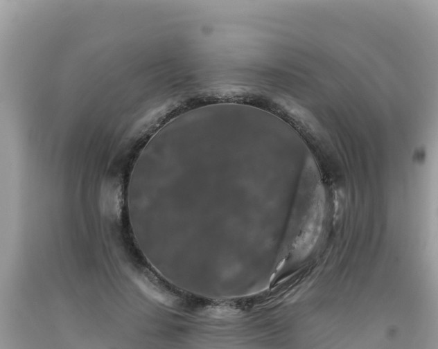 X0000092020644200709131557