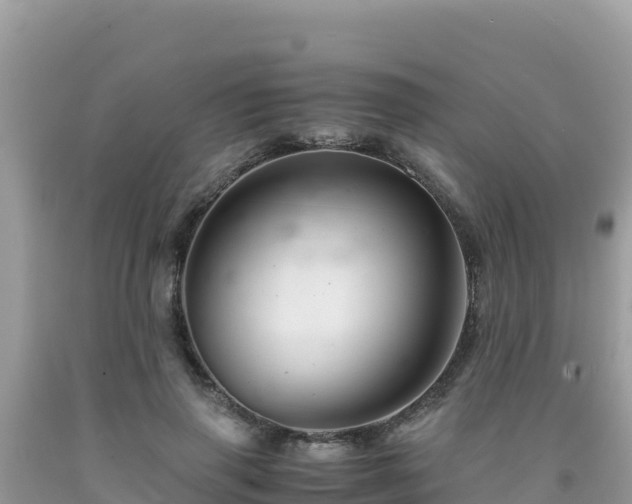 X0000092020645200709131557