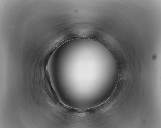 X0000092020646200709131557