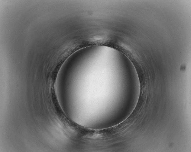 X0000092020647200709131557