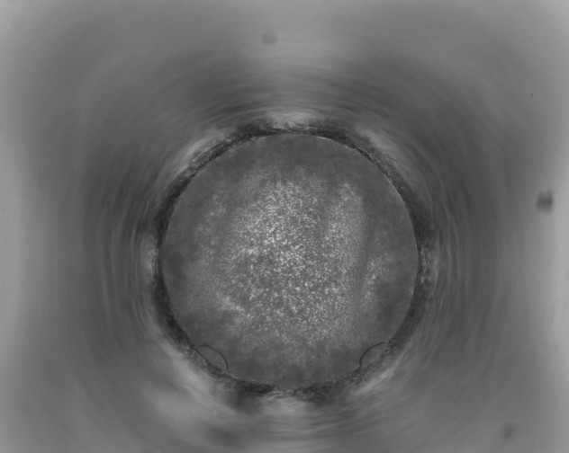 X0000092020648200709131557