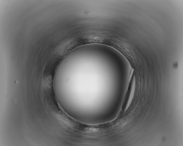 X0000092020649200709131557
