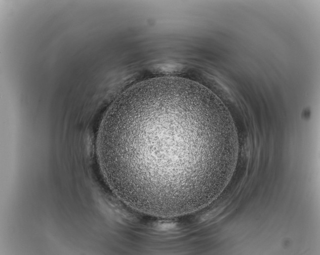 X0000092020651200709131557