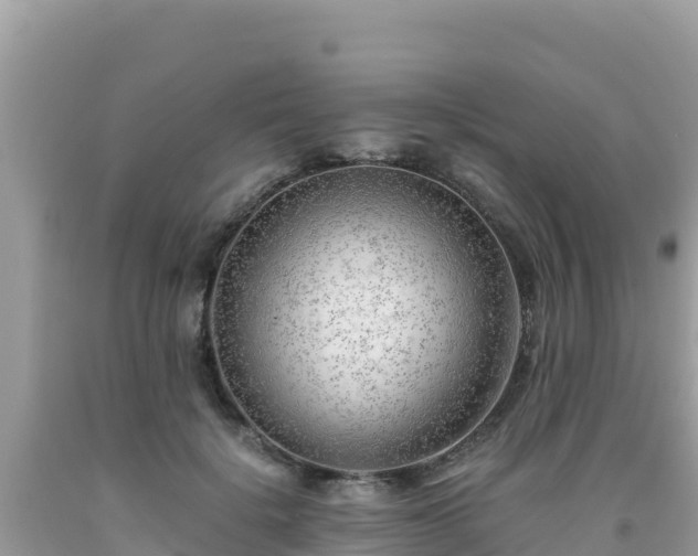X0000092020652200709131557