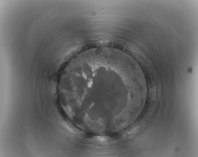 X0000092020654200709131557