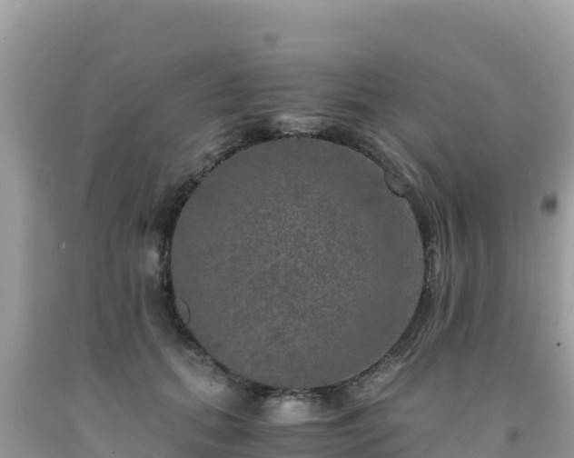 X0000092020655200709131557