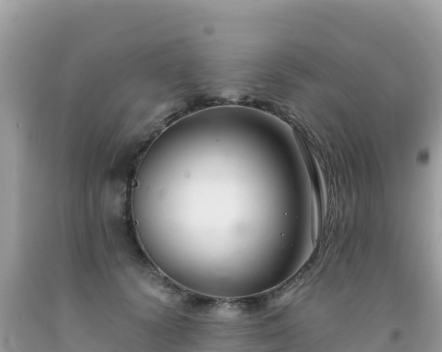 X0000092020656200709131557