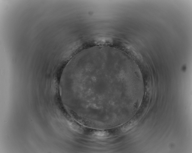 X0000092020659200709131557