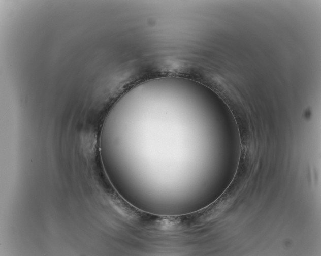 X0000092020660200709131557