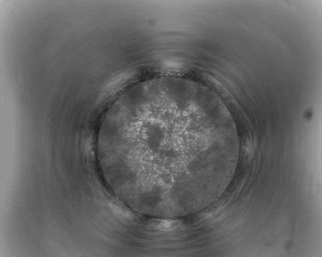 X0000092020663200709131557