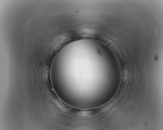 X0000092020664200709131557
