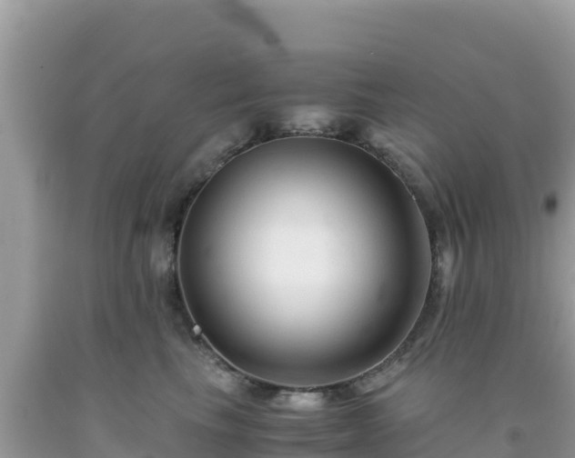 X0000092020665200709131557