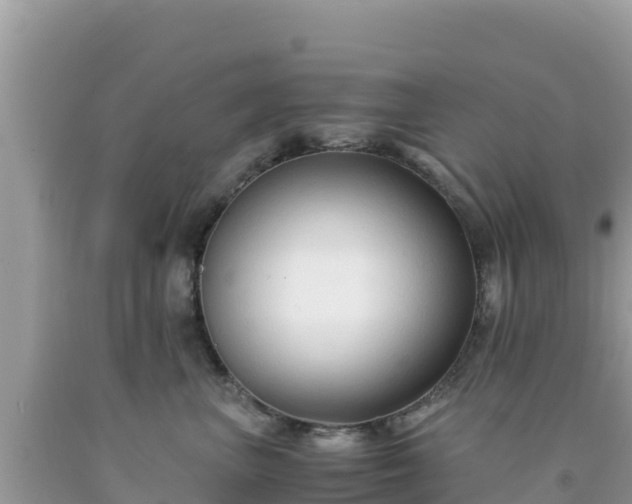X0000092020667200709131557