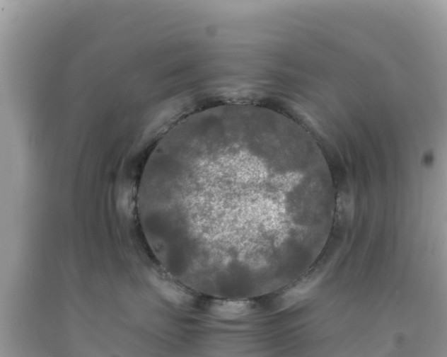 X0000092020671200709131558