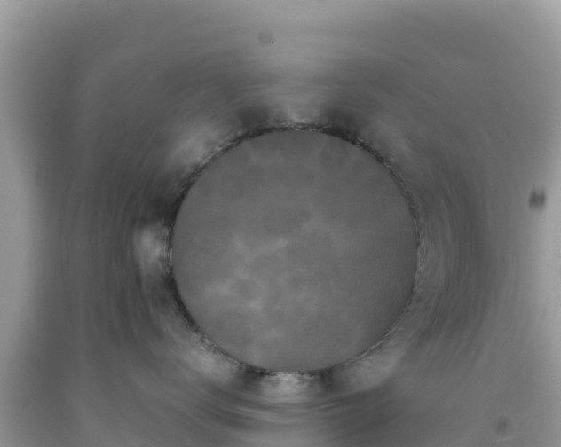 X0000092020672200709131558