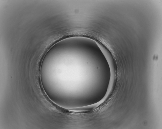 X0000092020673200709131557
