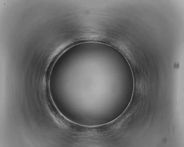 X0000092020674200709131557