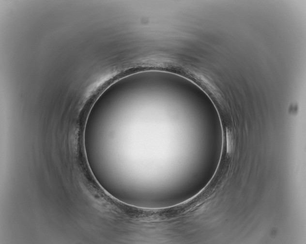 X0000092020675200709131557