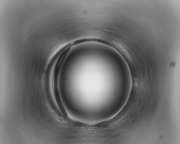 X0000092020676200709131557