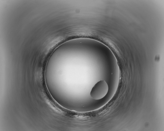 X0000092020677200709131557