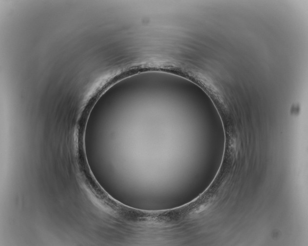 X0000092020678200709131557