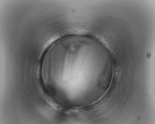 X0000092020679200709131557