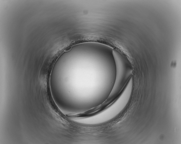 X0000092020681200709131557
