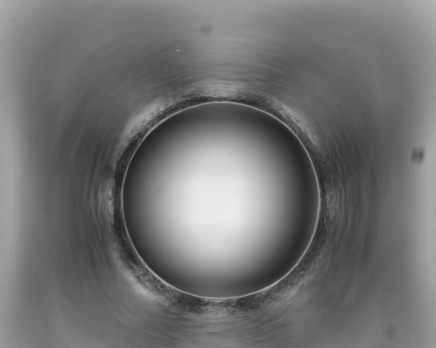 X0000092020682200709131557