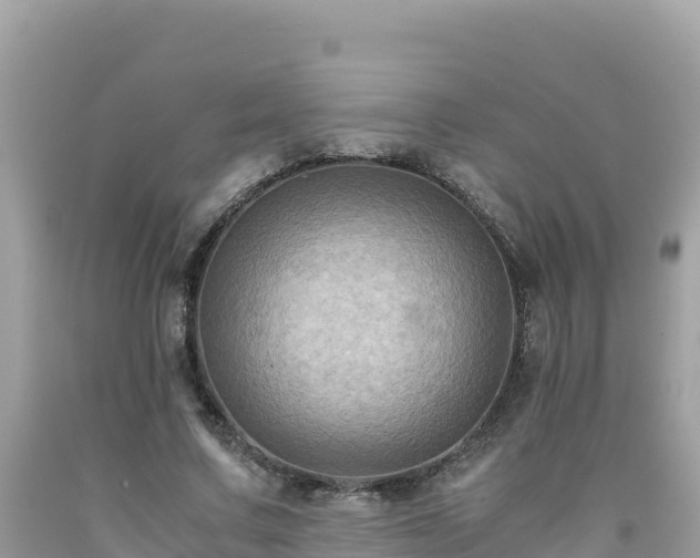 X0000092020683200709131557