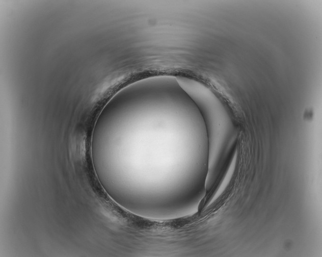 X0000092020685200709131557