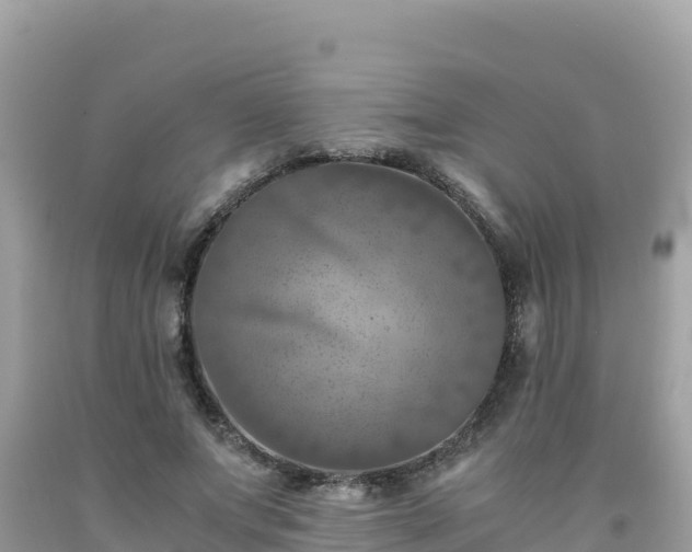 X0000092020687200709131557