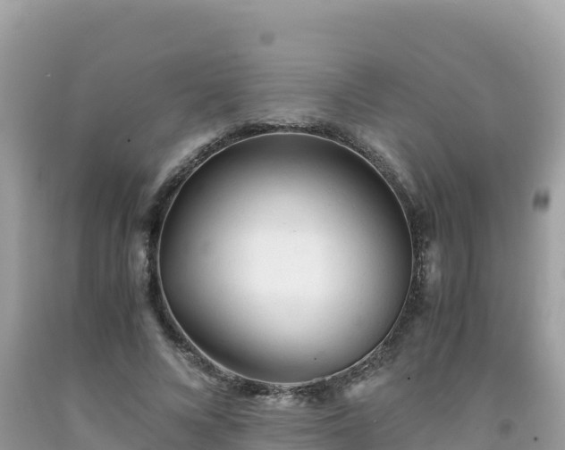 X0000092020688200709131557