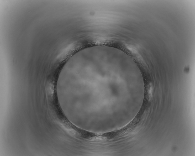 X0000092020691200709131557