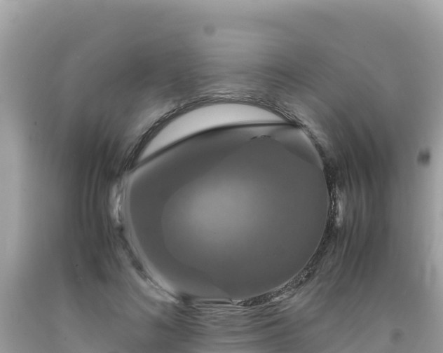 X0000092020692200709131557