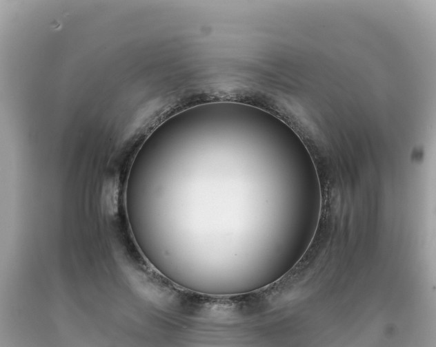 X0000092020694200709131556