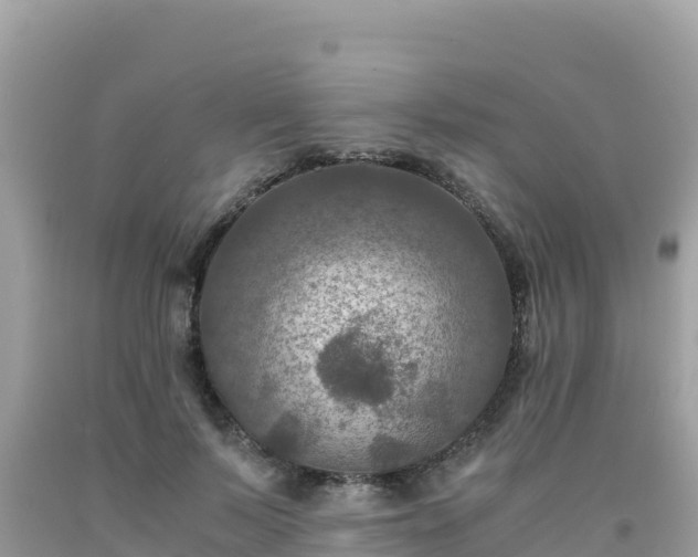 X0000092020695200709131556