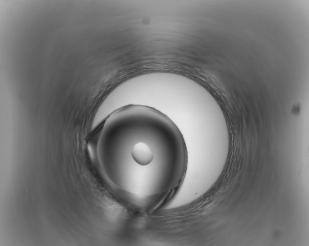 X0000092020697200709131556