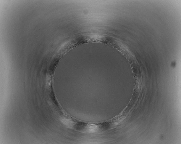 X0000092020701200709131556