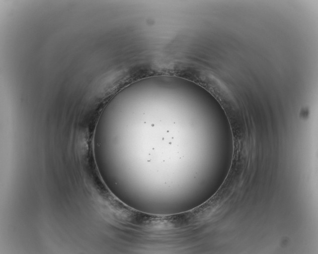 X0000092020702200709131556