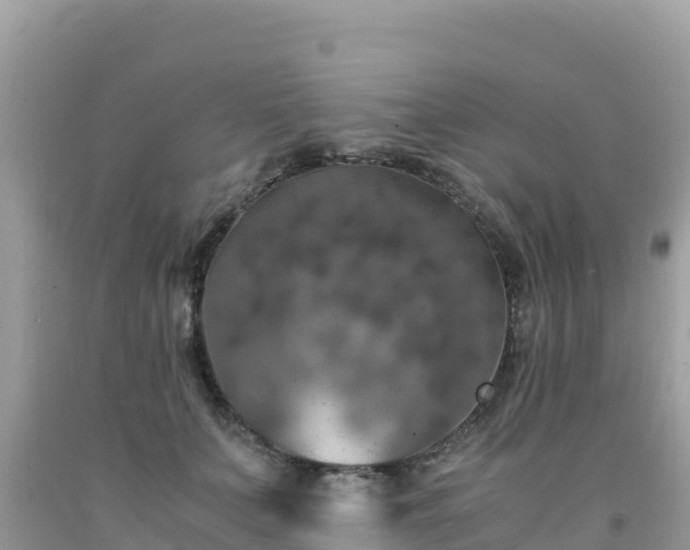 X0000092020703200709131556