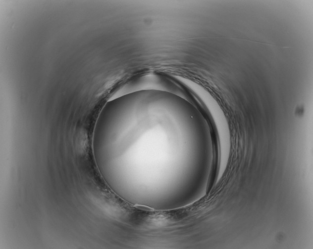 X0000092020704200709131556