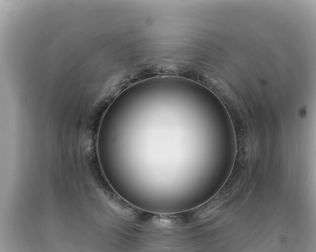 X0000092020706200709131556