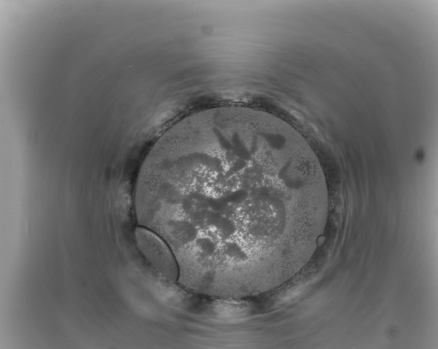 X0000092020707200709131556