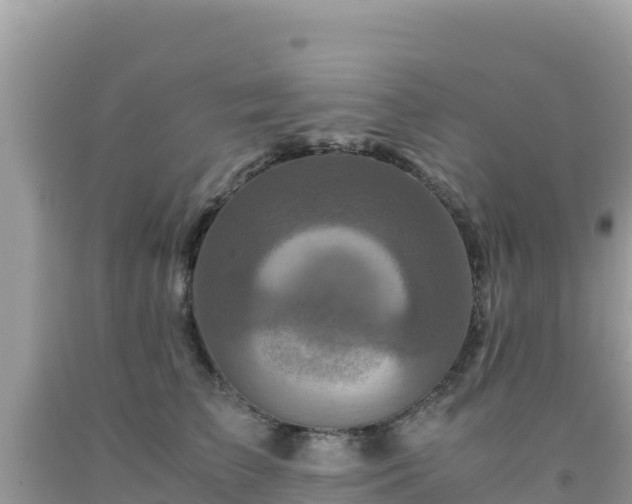 X0000092020709200709131556