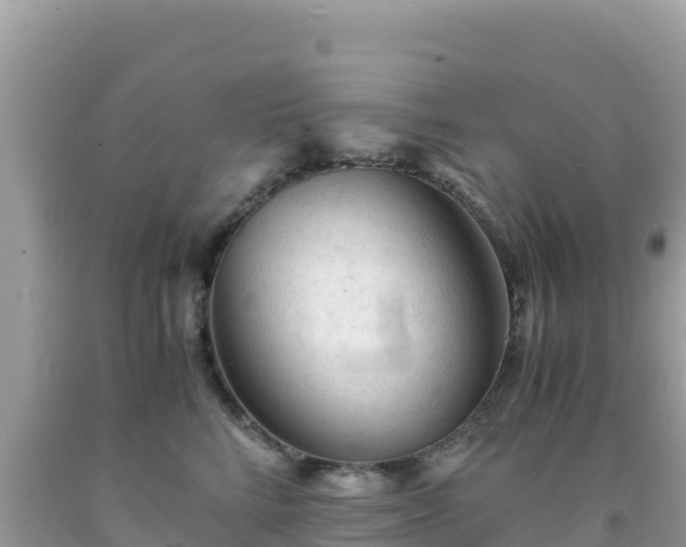 X0000092020712200709131556
