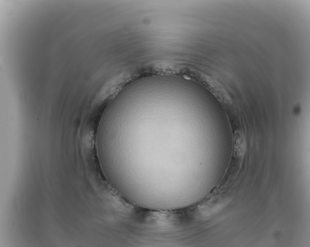 X0000092020713200709131556